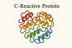 Proteina C reactivă: Rolul său în evaluarea riscului cardiac